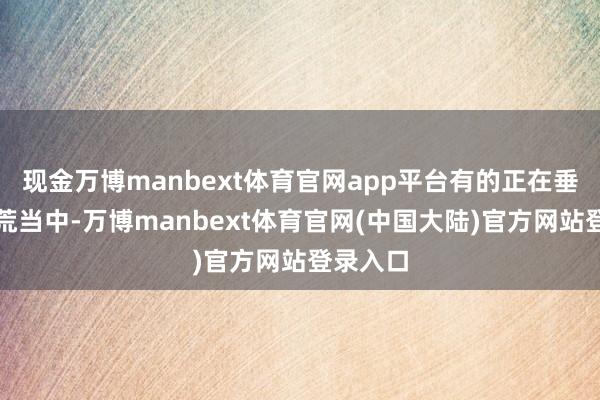 现金万博manbext体育官网app平台有的正在垂危地拓荒当中-万博manbext体育官网(中国大陆)官方网站登录入口