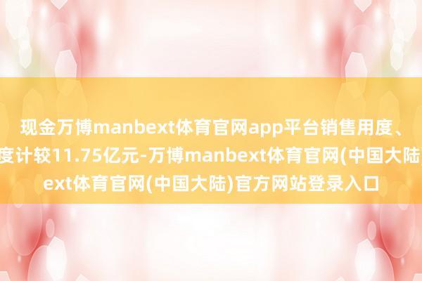 现金万博manbext体育官网app平台销售用度、处置用度、财务用度计较11.75亿元-万博manbext体育官网(中国大陆)官方网站登录入口