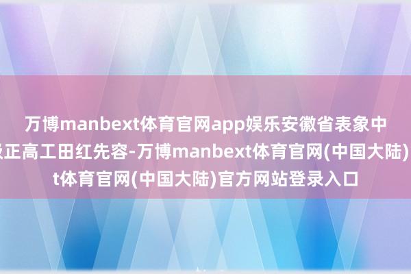 万博manbext体育官网app娱乐安徽省表象中心总工程师、二级正高工田红先容-万博manbext体育官网(中国大陆)官方网站登录入口