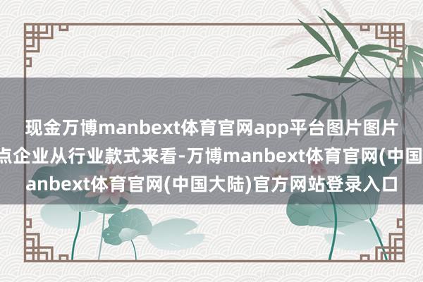 现金万博manbext体育官网app平台图片图片中国危化品输送行业要点企业从行业款式来看-万博manbext体育官网(中国大陆)官方网站登录入口